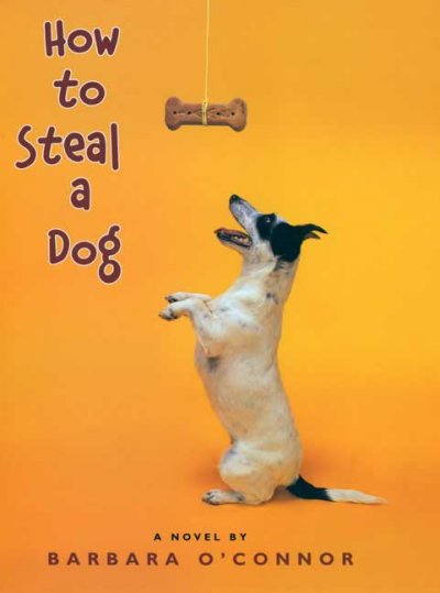 How to steal a dog : a novel / by Barbara O'Connor.