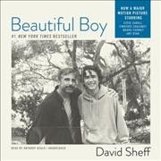 Beautiful boy [sound recording] : [a father's journey through his son's meth addiction] / by David Sheff.
