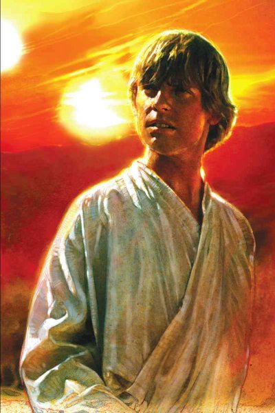A new hope : the life of Luke Skywalker / by Ryder Windham.