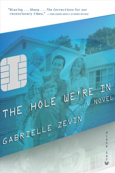 The hole we're in : a novel / Gabrielle Zevin.