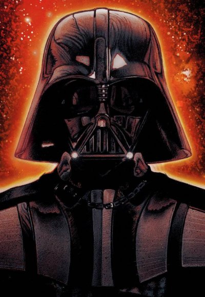The rise and fall of Darth Vader / by Ryder Windham.