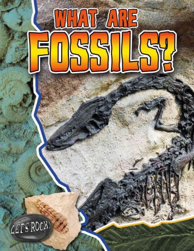 What are fossils? / Natalie Hyde.