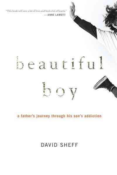 Beautiful boy : a father's journey through his son's meth addiction / David Sheff.