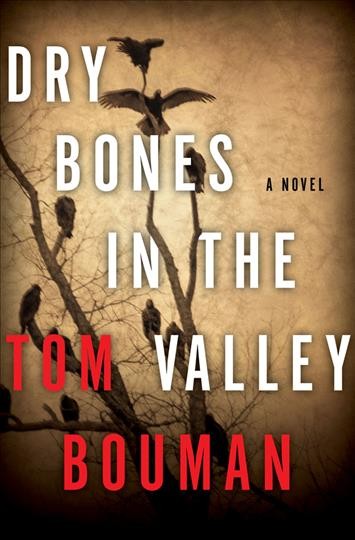 Dry bones in the valley : a novel / Tom Bouman.