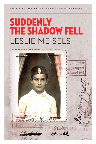 Suddenly the shadow fell / Leslie Meisels.