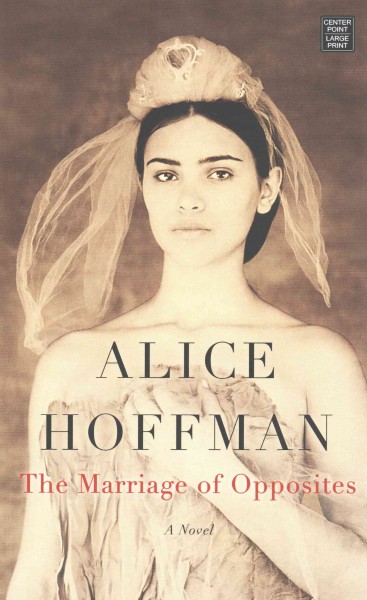 The marriage of opposites / Alice Hoffman.