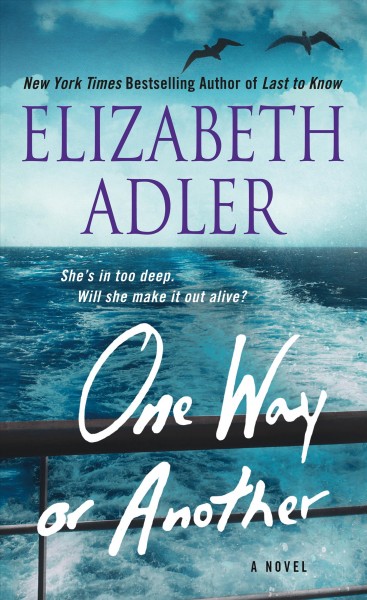 One way or another : a novel / Elizabeth Adler.