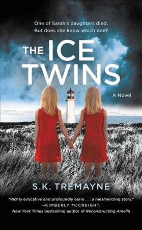 Ice twins : a novel / S.K. Tremayne.