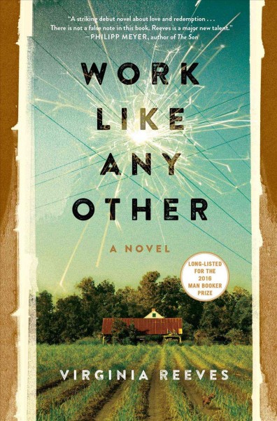 Work like any other : a novel / Virginia Reeves.