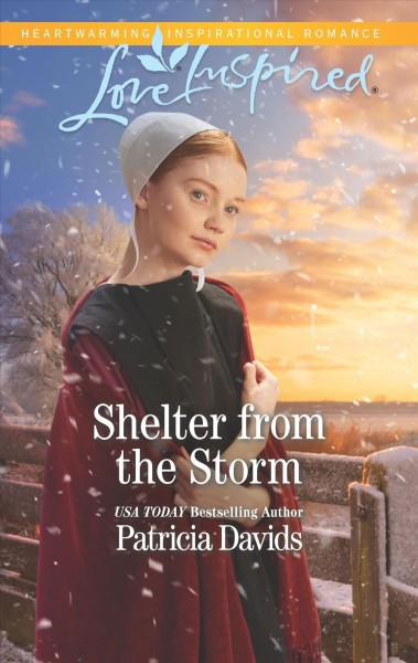 Shelter from the storm / Patricia Davids.