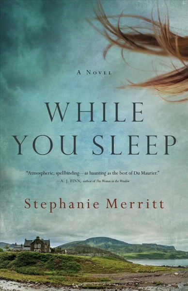 While you sleep : a novel / Stephanie Merritt.