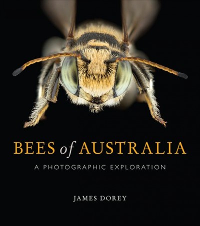 Bees of Australia : a photographic exploration / James Dorey.