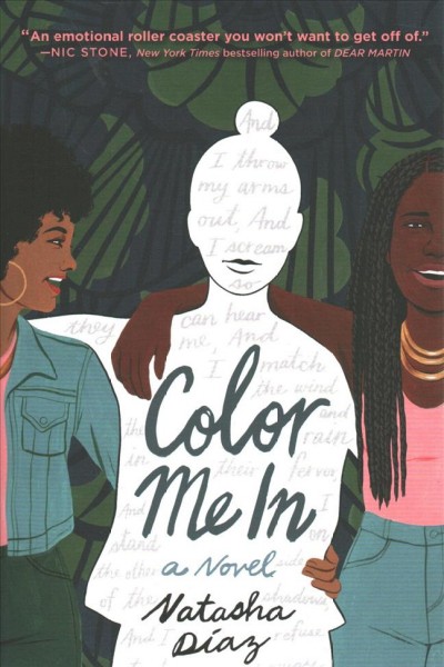 Color me in : a novel / Natasha Diaz.