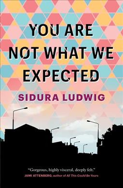 You are not what we expected / Sidura Ludwig.