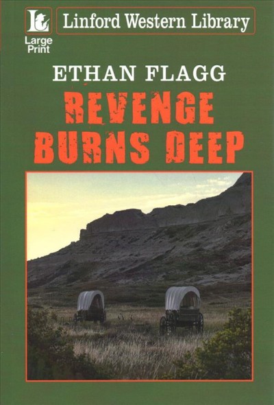 Revenge burns deep / Ethan Flagg.