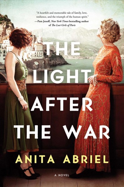 The light after the war : a novel / Anita Abriel.