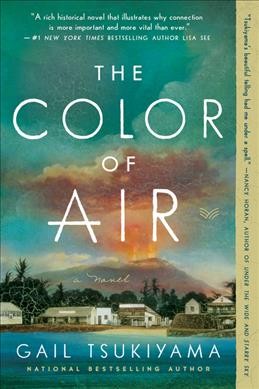 The color of air : a novel / Gail Tsukiyama.