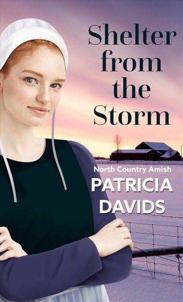 Shelter from the storm / Patricia Davids.