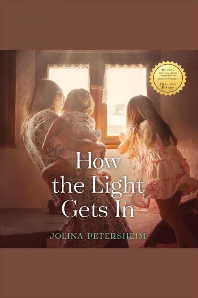 How the Light Gets In [electronic resource] / Jolina Petersheim.
