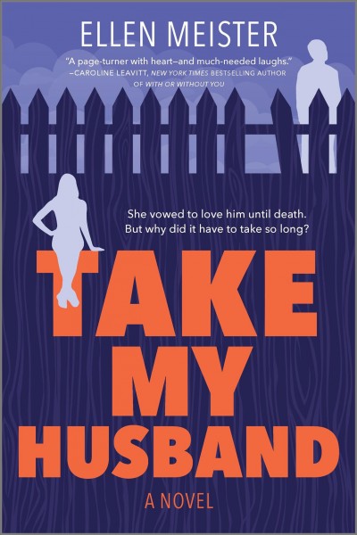 Take my husband : a novel / Ellen Meister.