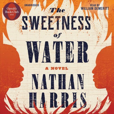 The sweetness of water : a novel / Nathan Harris.