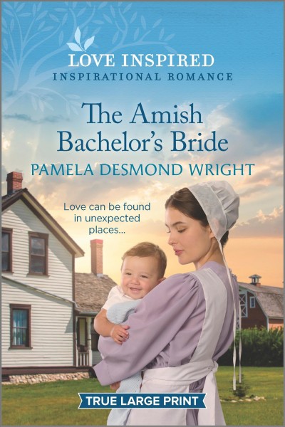 The Amish bachelor's bride / Pamela Desmond Wright.