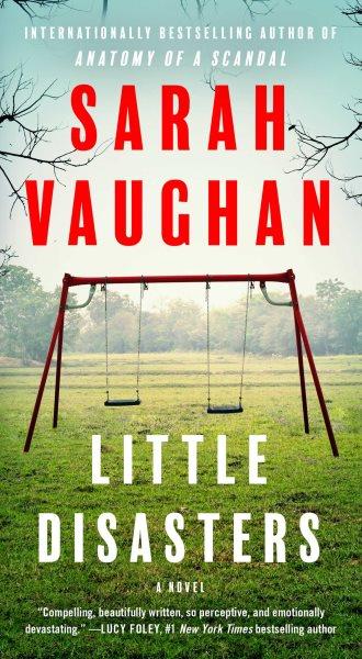 Little disasters :  a novel / Sarah Vaughan.