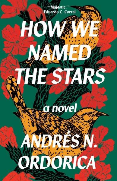 How we named the stars : a novel / Andrés N. Ordorica.