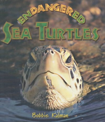 Endangered sea turtles.