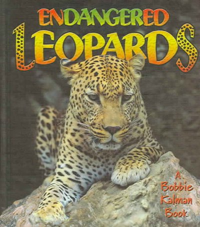 Endangered leopards.