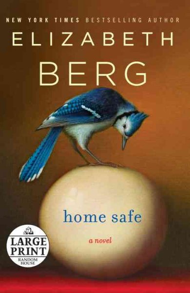 Home safe : a novel / Elizabeth Berg.