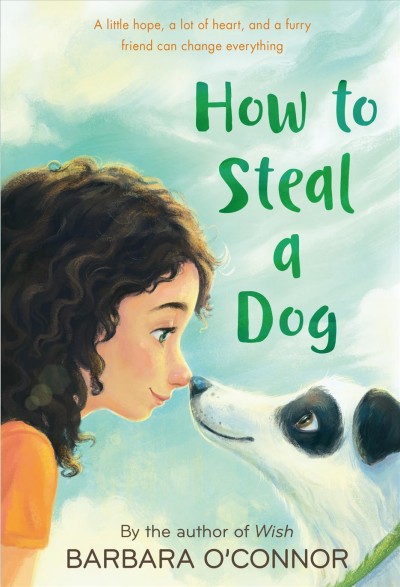 How to steal a dog / Barbara O'Connor.