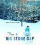 Go to record Home to Big Stone Gap [a novel]