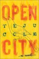 Open city : a novel  Cover Image