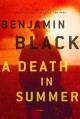 Go to record A death in summer : a novel