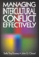 Managing intercultural conflict effectively  Cover Image