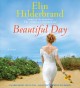 Beautiful day :  a novel  Cover Image