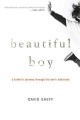 Beautiful boy : a father's journey through his son's meth addiction  Cover Image