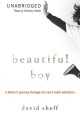 Beautiful boy [a father's journey through his son's addiction]  Cover Image