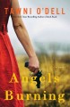Angels burning : a novel  Cover Image