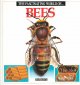 The Fascinating world of bees Cover Image