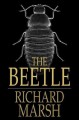The beetle : a mystery  Cover Image