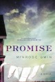 Promise  Cover Image
