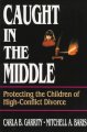 Caught in the middle : protecting the children of high-conflict divorce  Cover Image