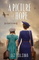 A picture of hope  Cover Image